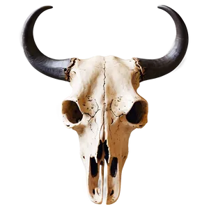 Longhorn Skull And Mountains PNG Sxl32