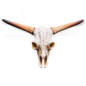 Longhorn Skull On Wood Background PNG Dey92