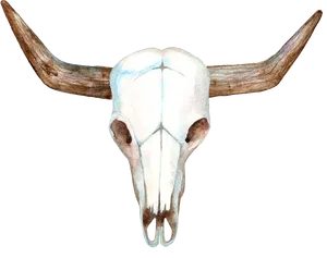 Longhorn Skull Watercolor Artwork