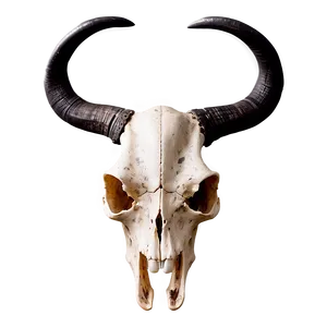 Longhorn Skull With Crown PNG Fsv24
