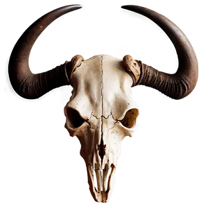 Longhorn Skull With Crown PNG Wyx