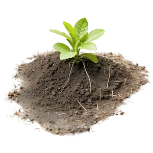 Loose Garden Soil Dirt Png 93 PNG image