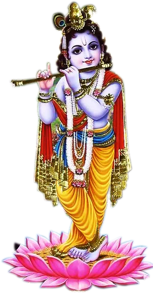 Lord Krishnaon Lotus Flower PNG image