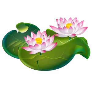 Lotus Bloom PNG 04292024