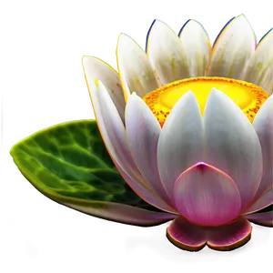 Lotus Bloom PNG 60