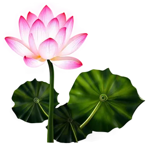 Lotus Flower Clipart PNG 88 PNG