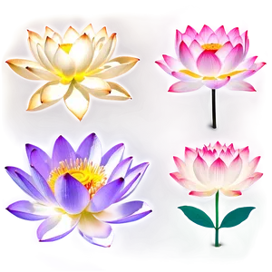 "lotus Light: Enlightening Flower PNG" A