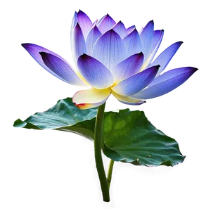 "lotus Light: Enlightening Flower PNG" C