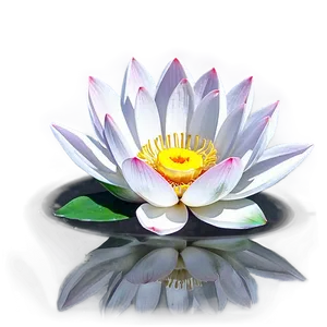 Lotus Reflection Png Smw PNG image