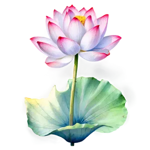 Lotus Watercolor Art Png 40 PNG image