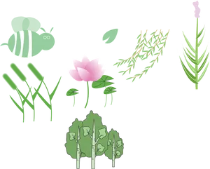 Lotusand Nature Vector Illustration PNG image