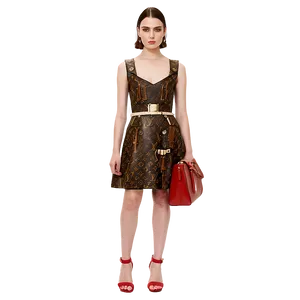 Louis Vuitton Dress Png 06272024 PNG image