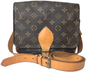 Louis Vuitton Monogram Canvas Bag PNG image