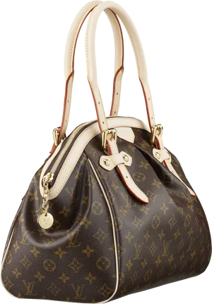 Louis Vuitton Monogram Handbag Isolated PNG image