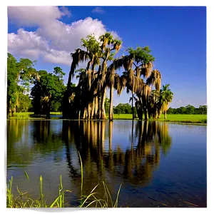 Louisiana Bayou Landscape PNG Gmd13 PNG