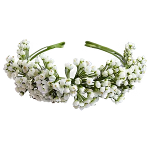 Lovely Baby's Breath Crown Png 06212024 PNG image