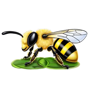 Lovely Bee Graphic Png Biw PNG image