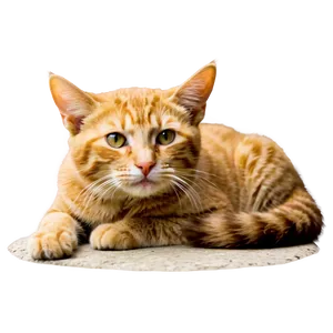 Lovely Feline PNG 96
