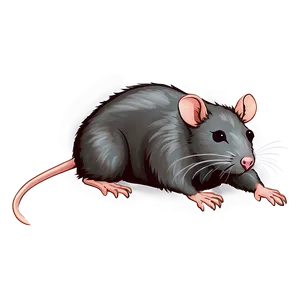 Lovely Rat Drawing PNG 48 PNG