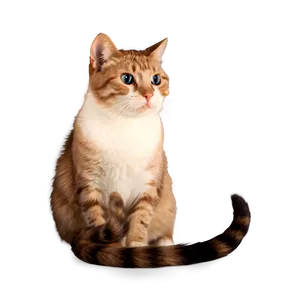 Loving Cat Meme PNG 90