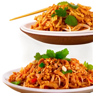 Low-calorie Pad Thai PNG 06252024 PNG