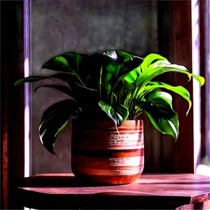 Low Light Indoor Plants PNG Pfj