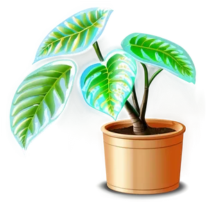 Low Maintenance Plant PNG Msx