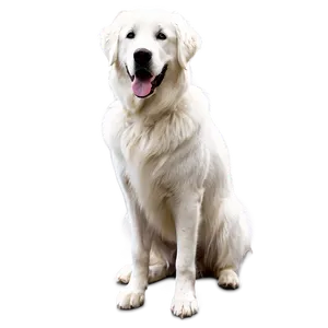 Loyal Great Pyrenees Companion PNG 93 PNG
