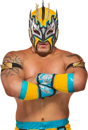 Luchadorin Colorful Mask PNG image