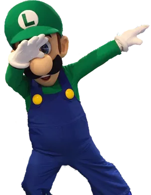 Luigi Character Pose PNG image