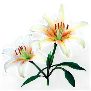 Luminous Lilies Night Scene PNG Hjs PNG