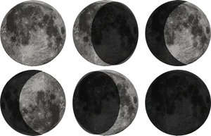 Lunar_ Phases_ Cycle