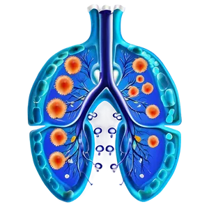 Lung Cells Respiratory Png 91 PNG image