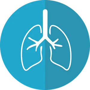 Lung Icon Graphic PNG image