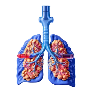Lung Microbiome Visual PNG 59 PNG