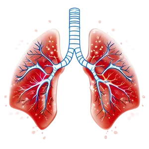 Lungs Breathing Animation Png 05232024 PNG image