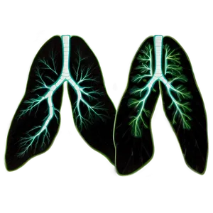 Lungs Disease Awareness Png 05232024 PNG image