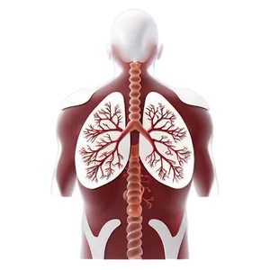 Lungs Disease Awareness Png Spq PNG image