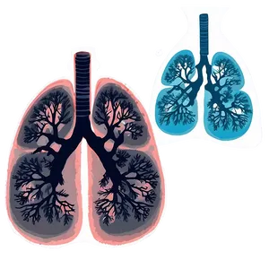 Lungs During Exercise Png Kdo82 PNG image