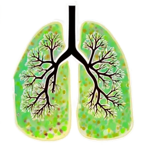 Lungs Environmental Impact Png 05232024 PNG image