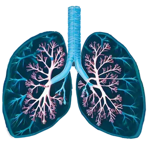 Lungs Environmental Impact Png Nos18 PNG image