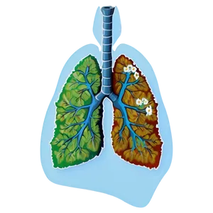 Lungs Environmental Impact Png Upe PNG image