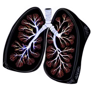 Lungs Fitness And Health Png 05232024 PNG image