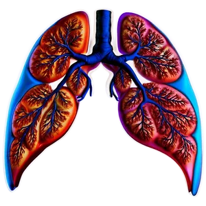 Lungs Fitness And Health Png 36 PNG image