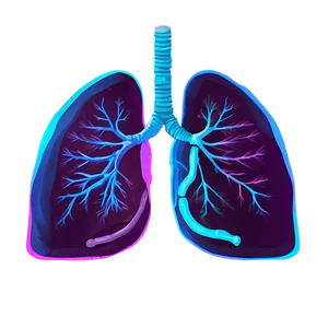 Lungs Healing Process Png Dqm43 PNG image