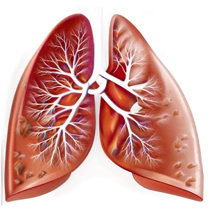 Lungs Healthcare Infographic Png 18 PNG image