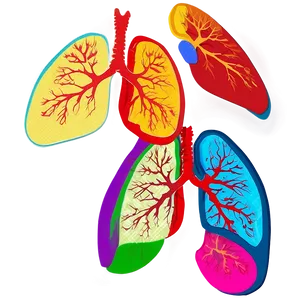 Lungs In Pop Art Style Png Kdg PNG image