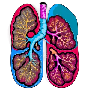 Lungs In Pop Art Style Png Tfk PNG image