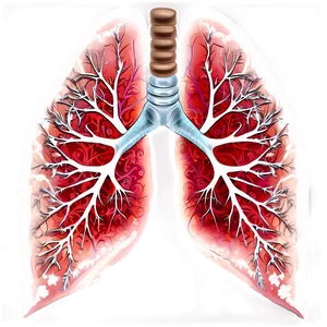 Lungs Respiratory System Png 38 PNG image