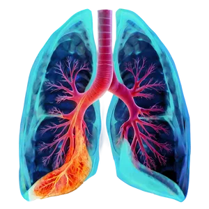 Lungs Under X-ray Png Xrq9 PNG image